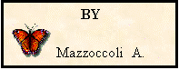 Casella di testo:  BY
   Mazzoccoli  A.    
